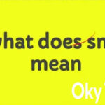 smd meaning text